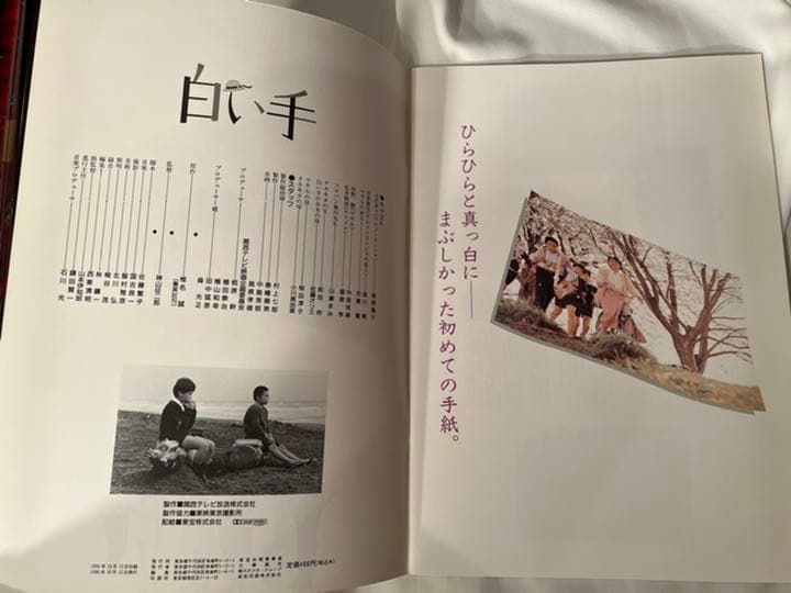 「映画　パンフレット」  白い手　南野陽子　主演