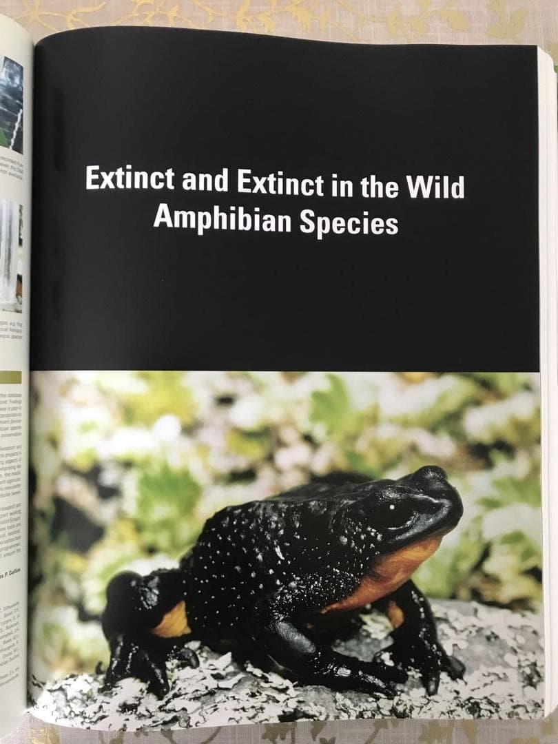 Threatened Amphibians of the World 英語版
