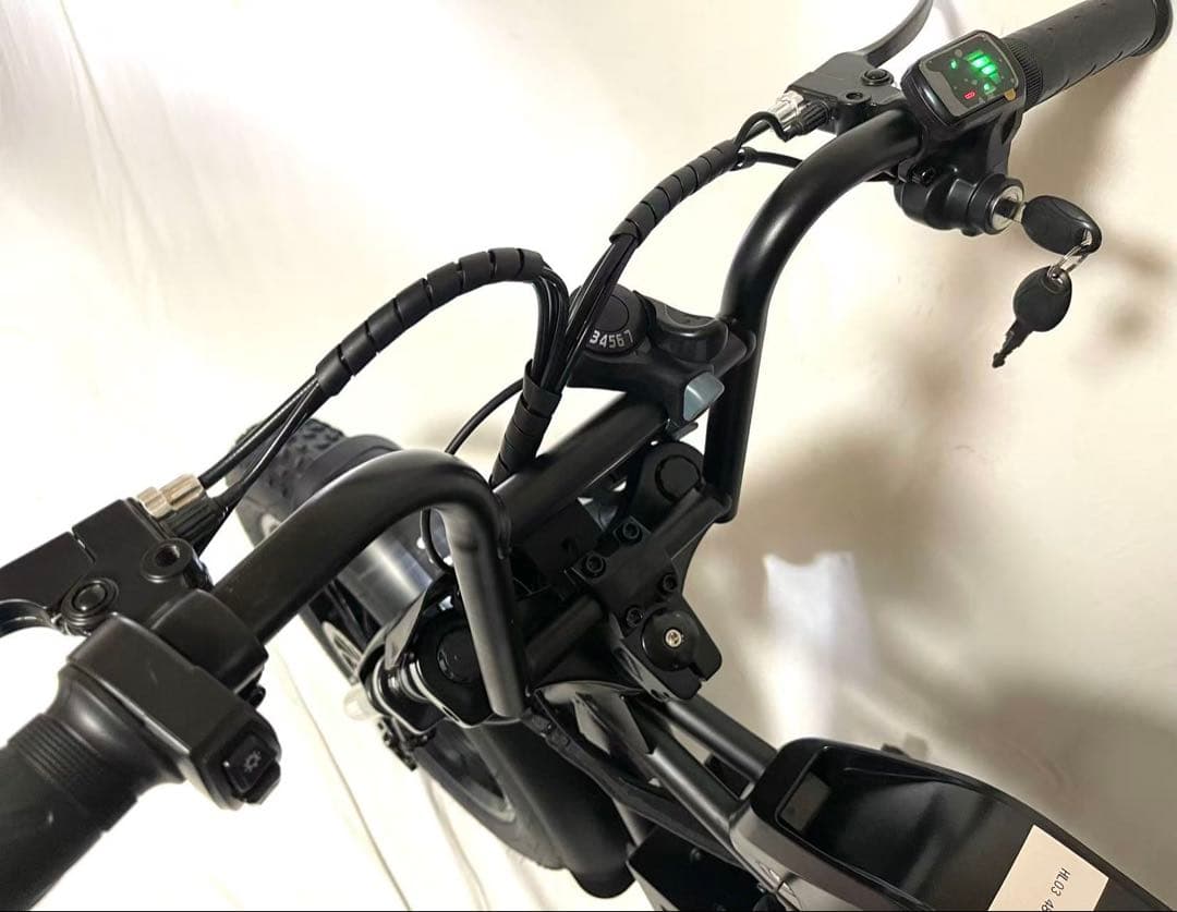 【新品】送料無料 SUPER73 ディスク式MTB 電動アシスト自転車13Ah