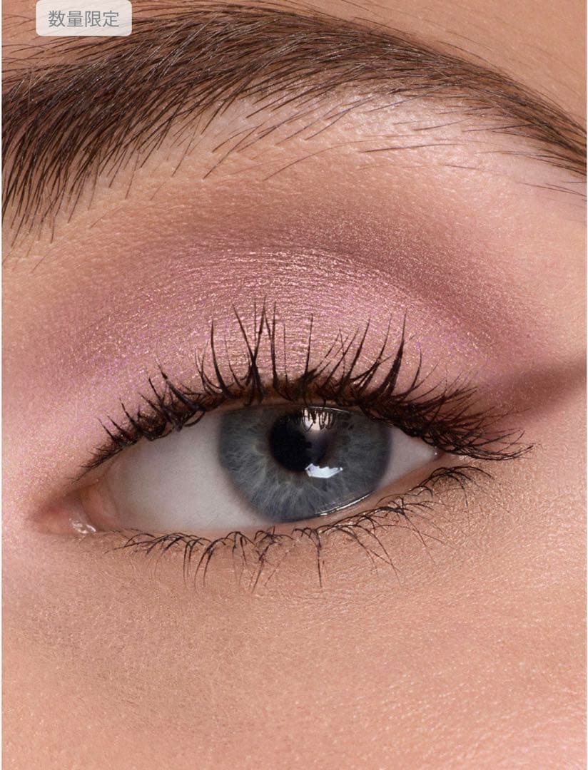 新品未開封ディオールショウサンククルール 855 ローズモアレ　限定品