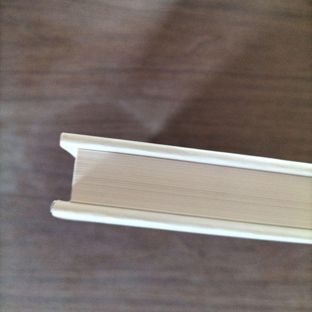 【美品】1983年の初版　エゴン・シーレ画集　27×29×3cm 大型判