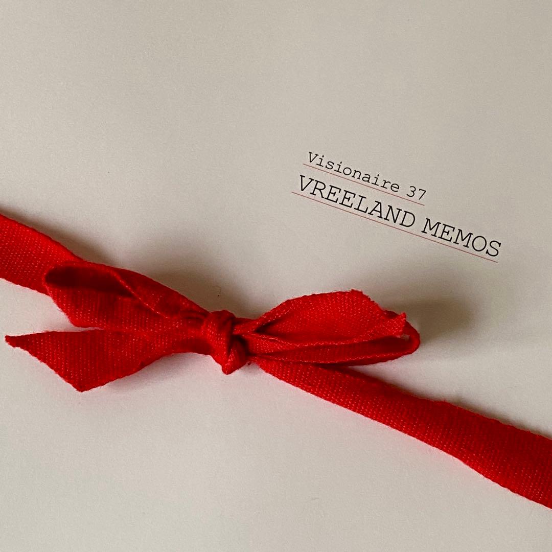 《希少本》アートブック VISIONAIRE 22 CHIC