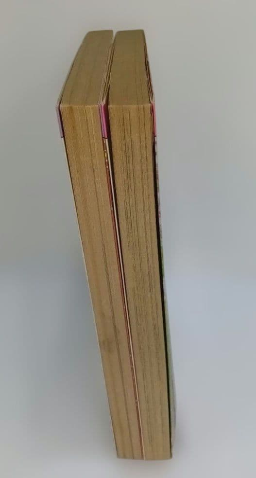 阿保美代 アボサンのふるさとメルヘン 初版 2冊セット 希少