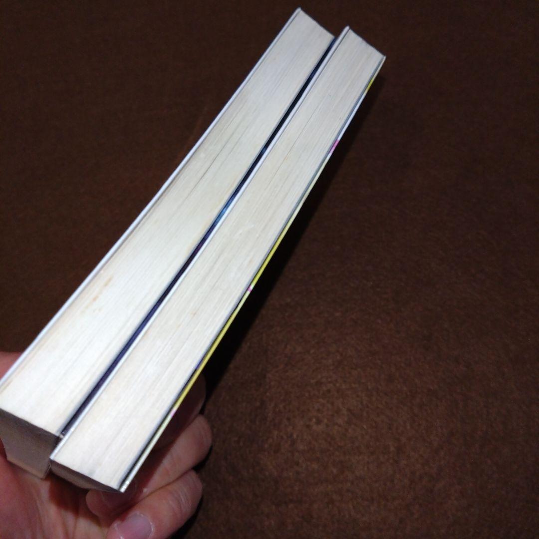 【そこそこ美品】ノベル版 ペルソナ2 罪・罰