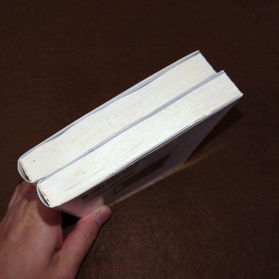 【そこそこ美品】ノベル版 ペルソナ2 罪・罰