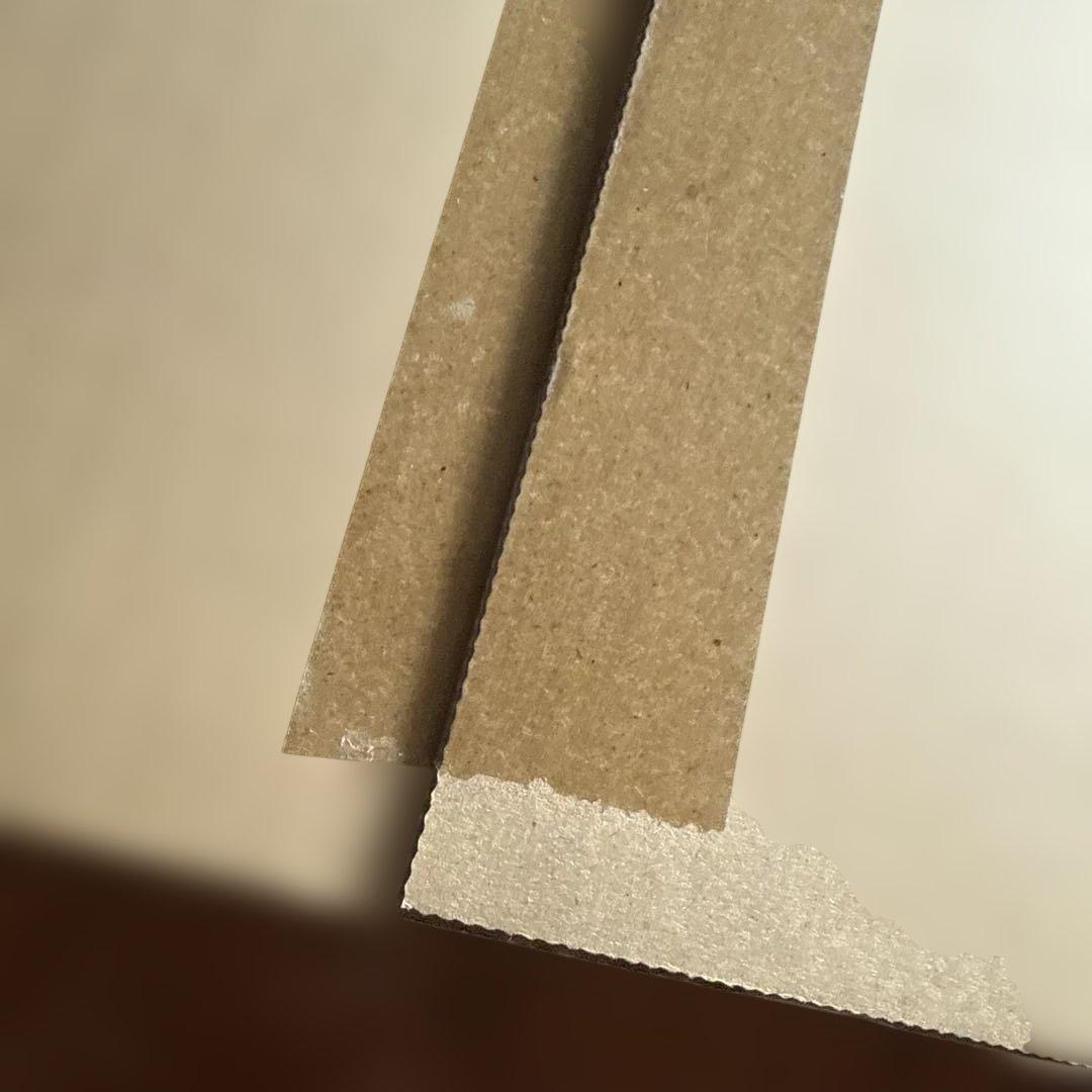 Ayrton　アイルトン・セナ没後30年プレミアム写真集　熱田 護