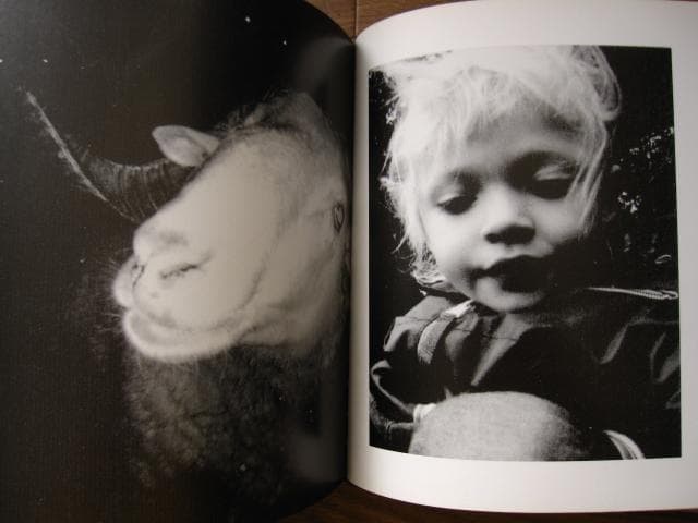 アート・デザイン・音楽 Sun's Coming Up Like a Big Bald Head