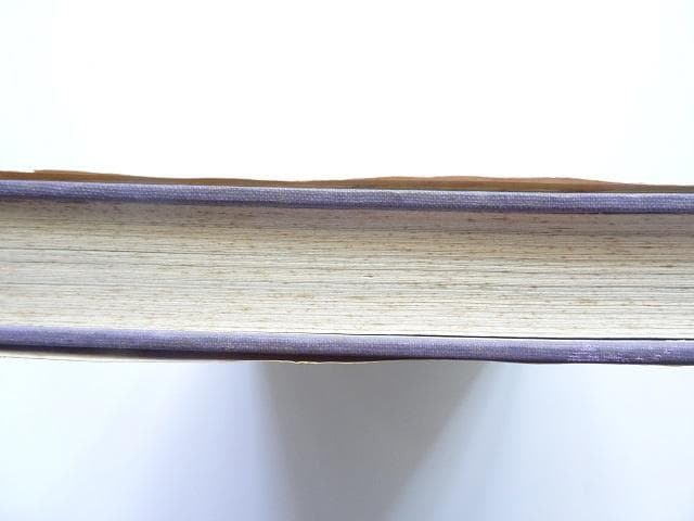 洋書◆タルーラ写真集 本 ブレンダン・ギル