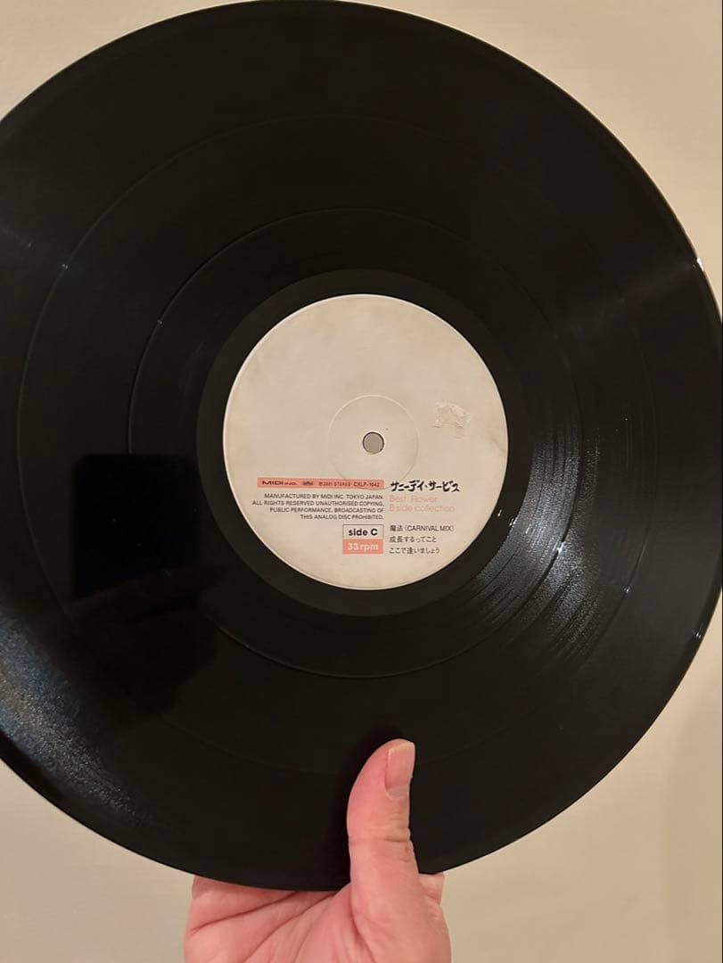 サニーデイ・サービス BEST FLOWER レコード　レア盤　曽我部恵一