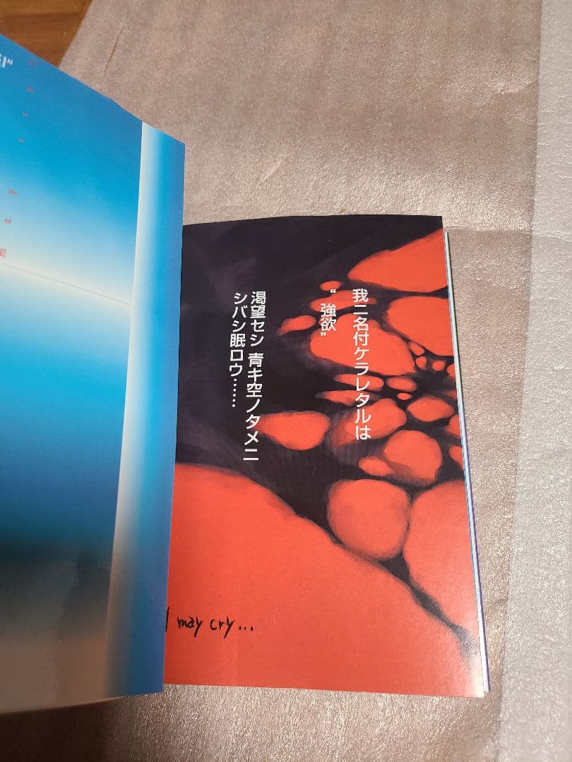 デビルメイクライ3 Devil May Cry 全巻 全2巻セット