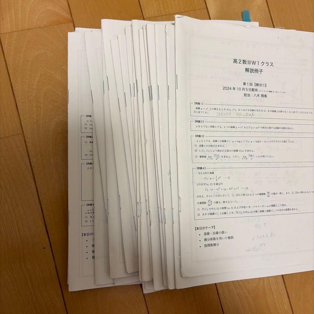 鉄緑会　高2数Ⅲ 実践講座　八木先生　授業冊子