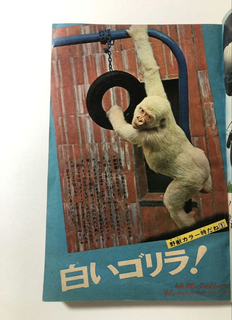 新連載 仮面ライダー　週刊少年マガジン 1971年23号