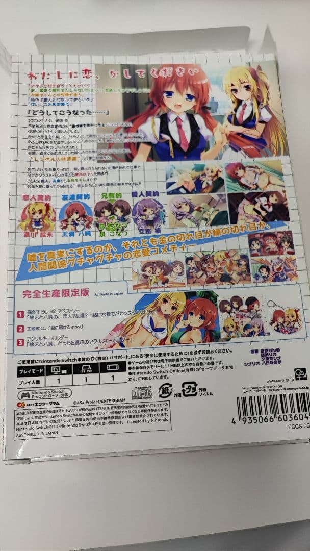 恋愛借りちゃいました Nintendo Switch　完全生産限定版　特典