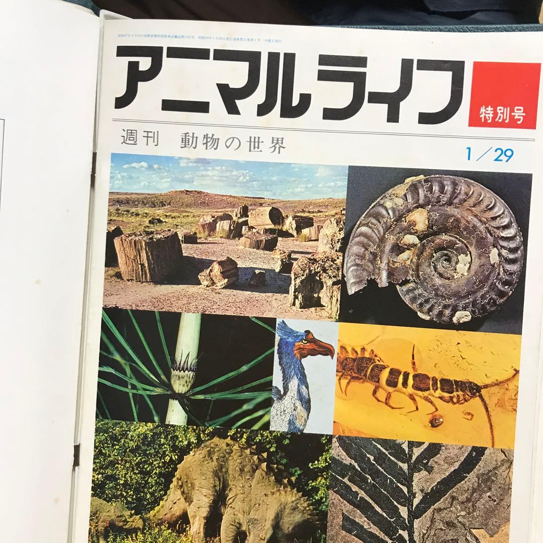 動物の大世界百科　animallife