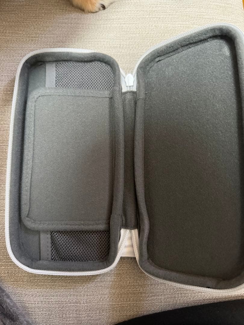 Nintendo Switch Lite ターコイズ (箱、充電器、ケース付き)