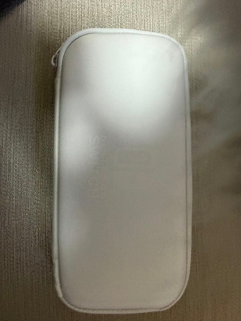 Nintendo Switch Lite ターコイズ (箱、充電器、ケース付き)