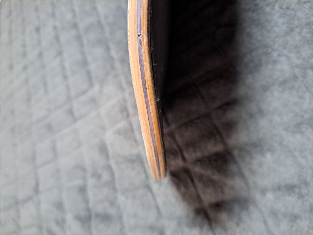 サンタクルーズ　エリックウィンコウスキ　プロ