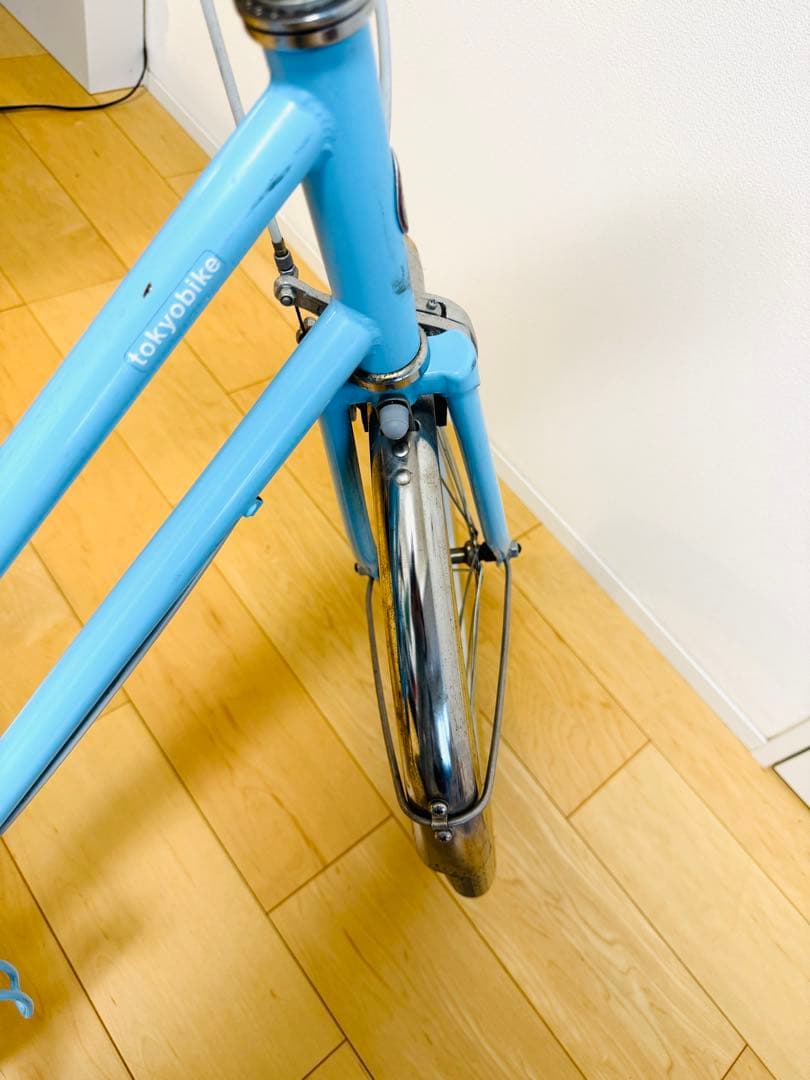 TOKYO BIKE Jr. Step 20インチ　アクア（水色）　泥除け付