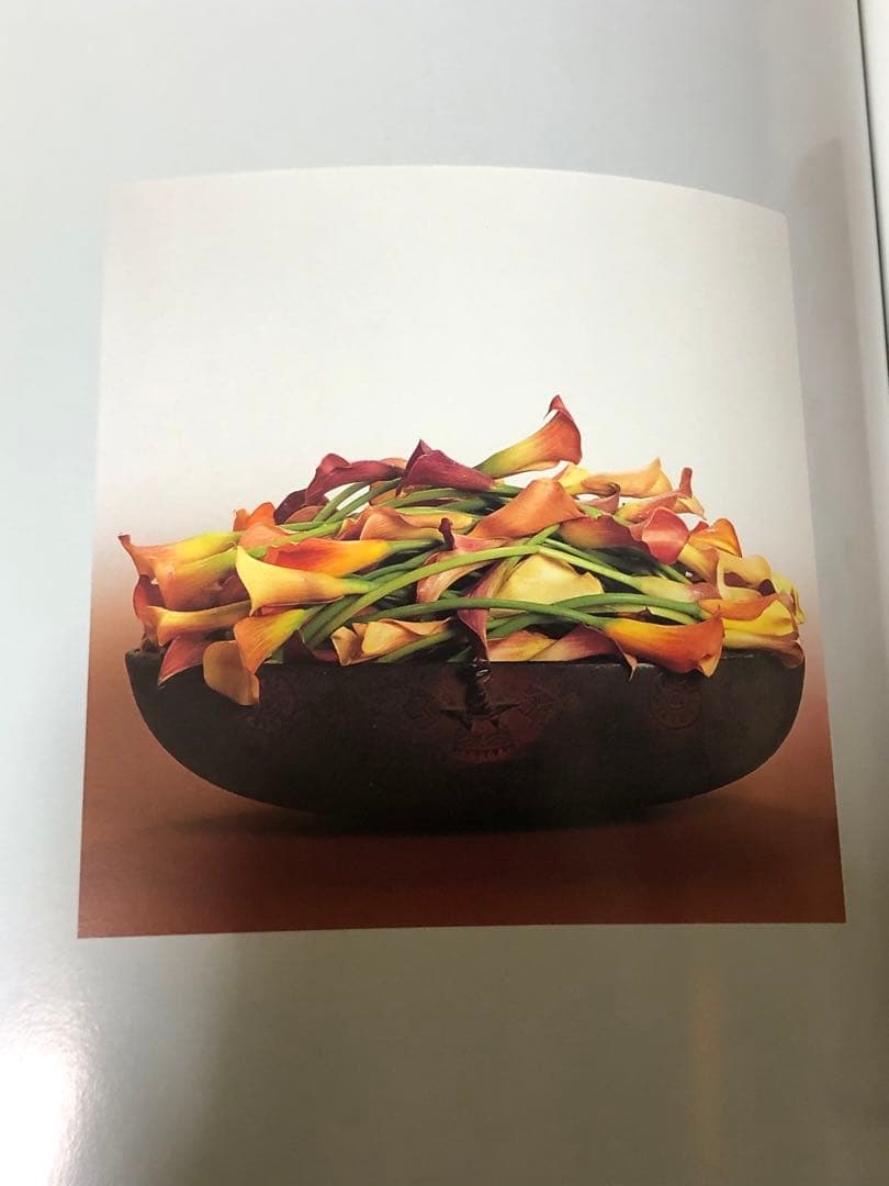 DANIEL OST ダニエル・オスト　フラワーアート豪華写真集　美しい写真満載