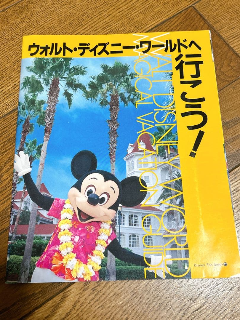 ウォルトディズニーワールド　ディズニークルーズ　ディズニーランド　ガイドブック