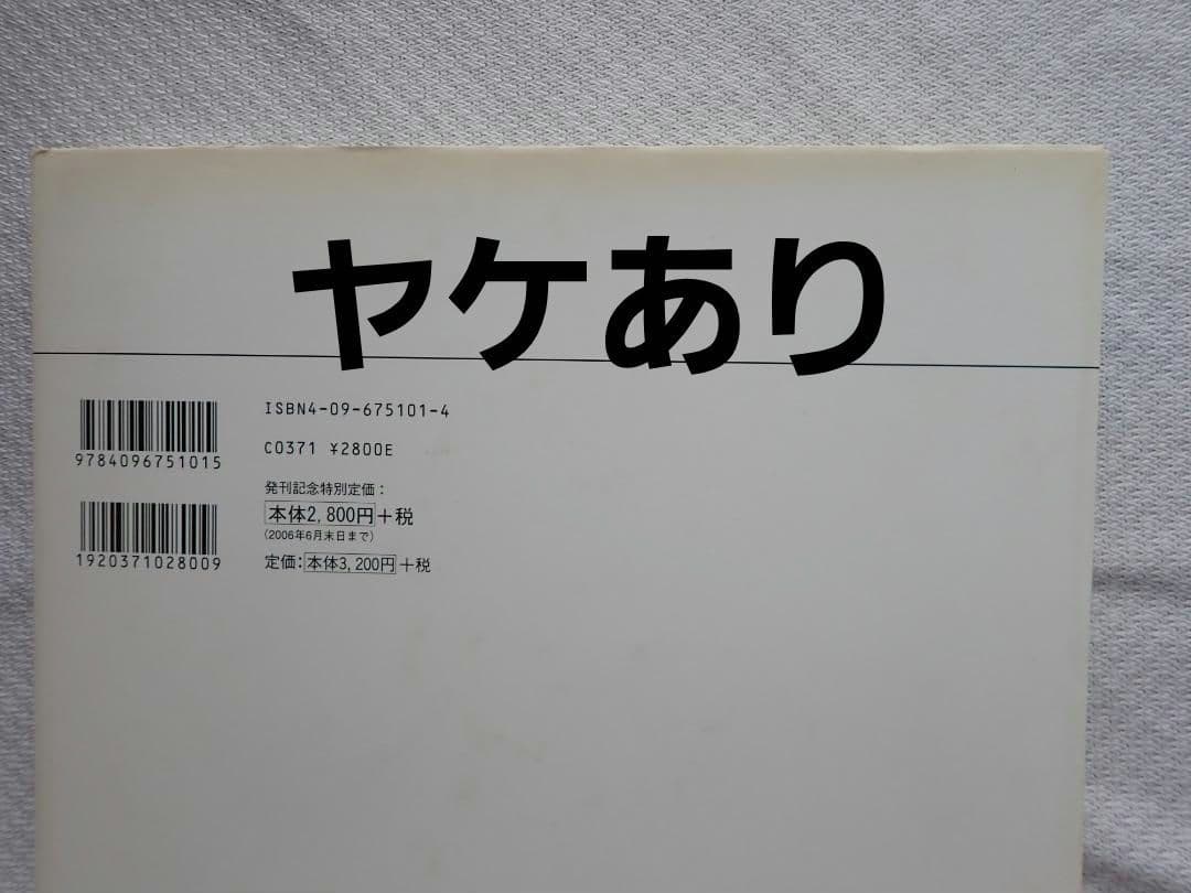 西洋絵画の巨匠(小学館) 全12巻揃 2006年初版第1刷 送料込・匿名発送