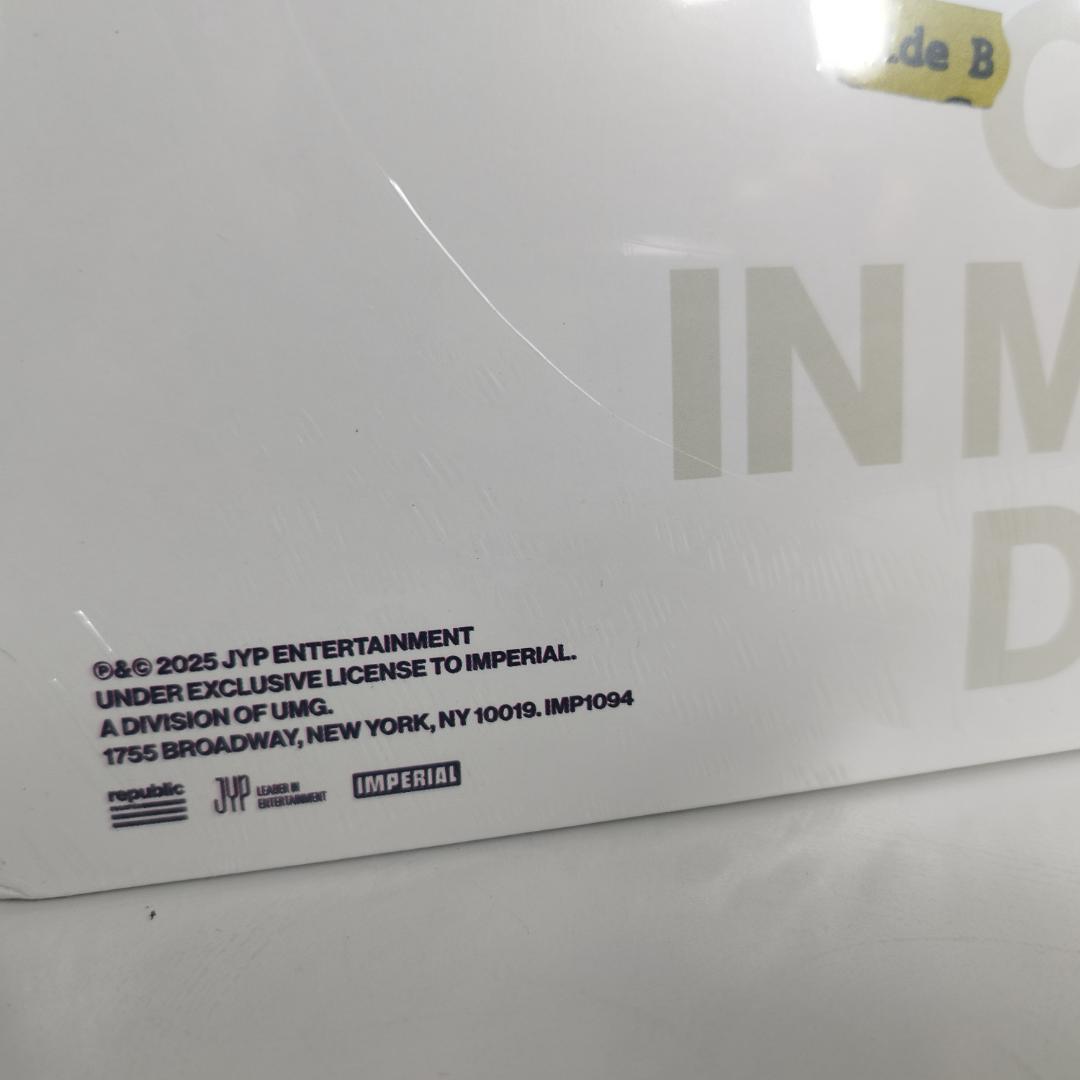 TWICE TEN レコード 日本未発売 LP 10周年記念 The I6IT