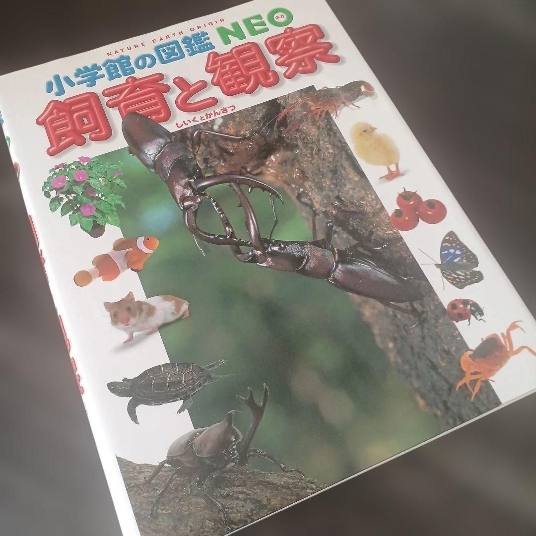 くらべる図鑑セット