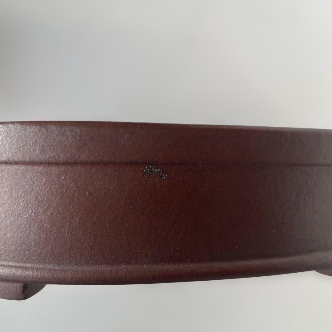 盆栽鉢　常滑焼　落款: 山秋造印