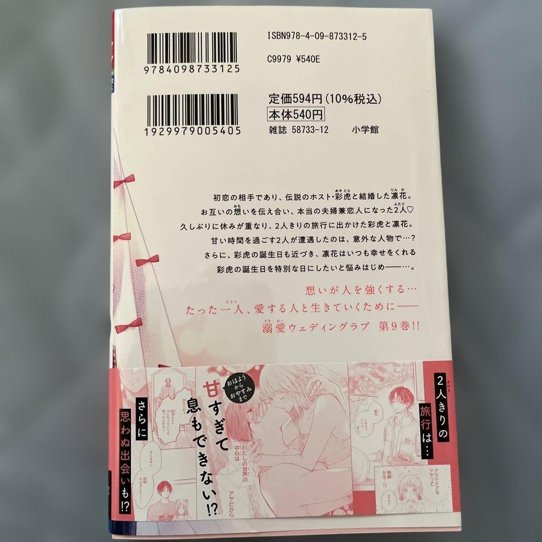 虎王の花嫁さん9