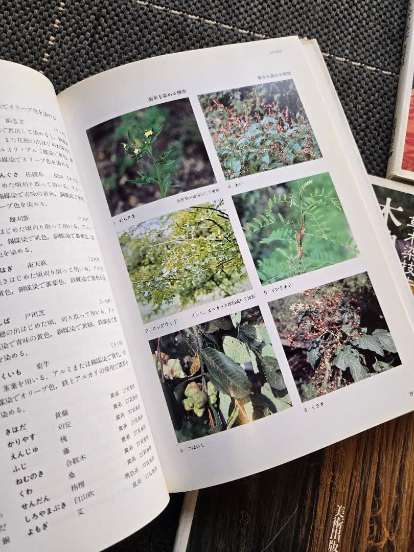山崎青樹 草木染技法全書3冊コンプリートセット