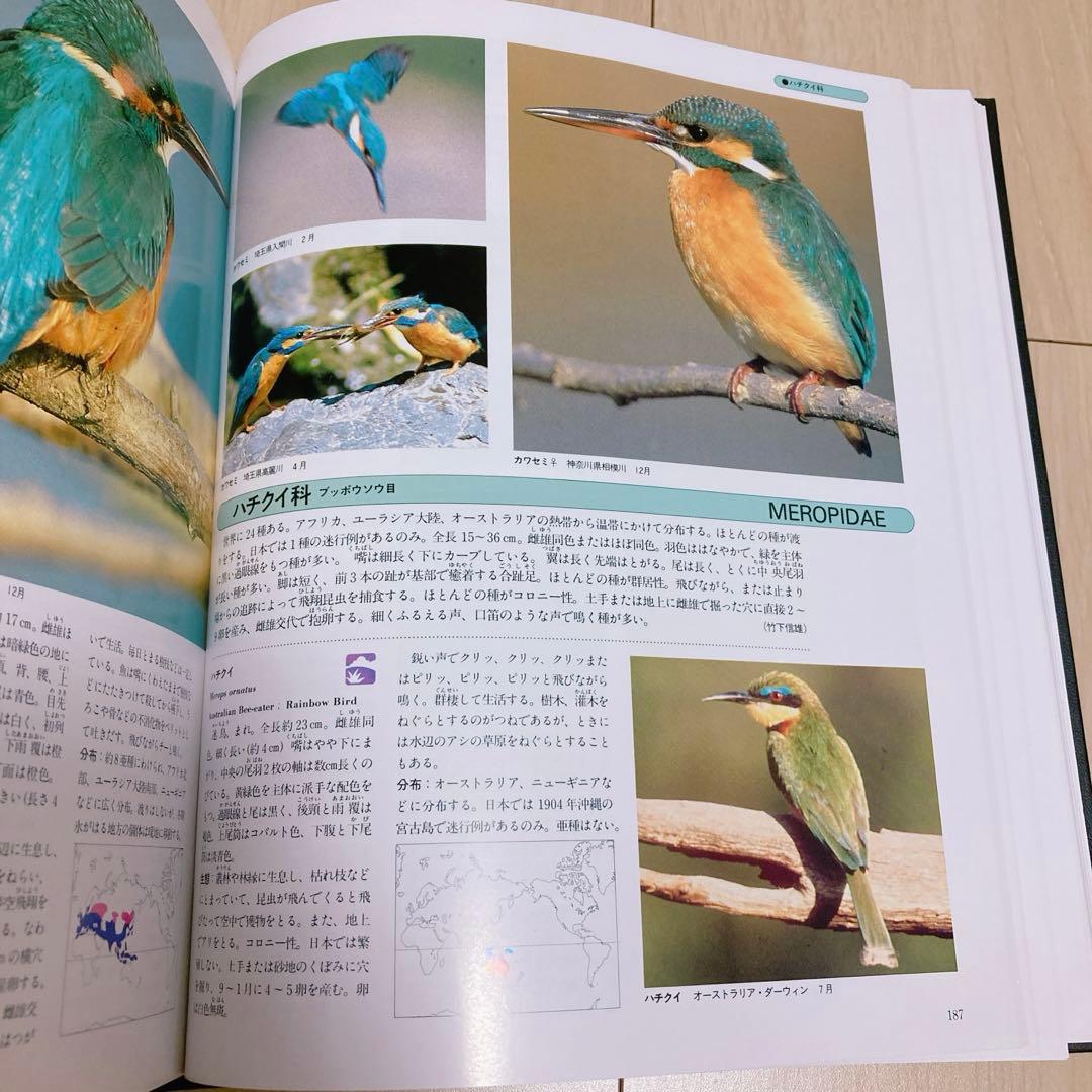 鳥類　世界文化生物大図鑑　鳥類図鑑 カラー図鑑