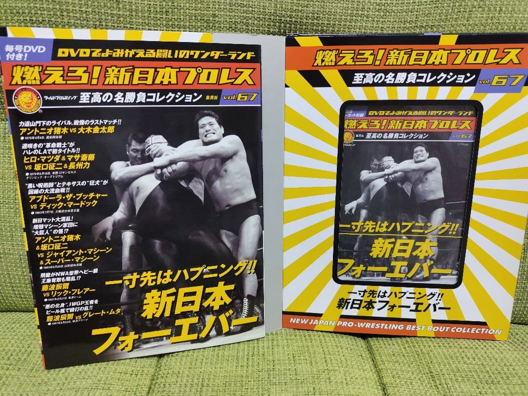 燃えろ！新日本プロレス vol.34 vol.67