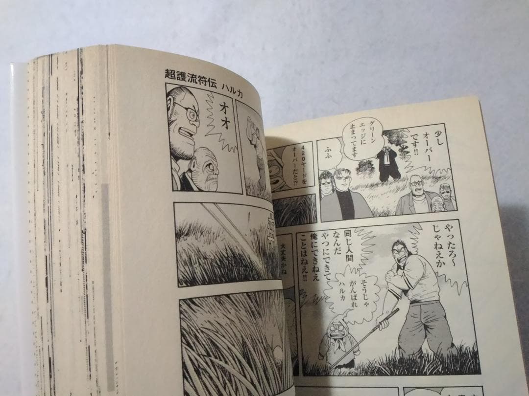 超護流符伝ハルカ GSコミックス 石川賢 ■2900M3500