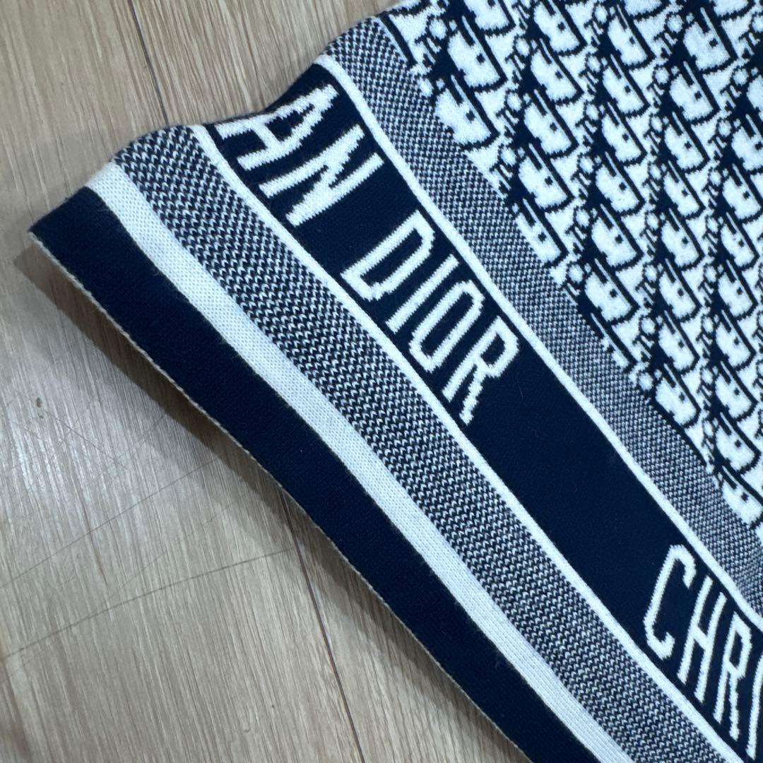 三連休限定値下げ中 CHRISTIAN DIOR ロゴプリント　膝掛け