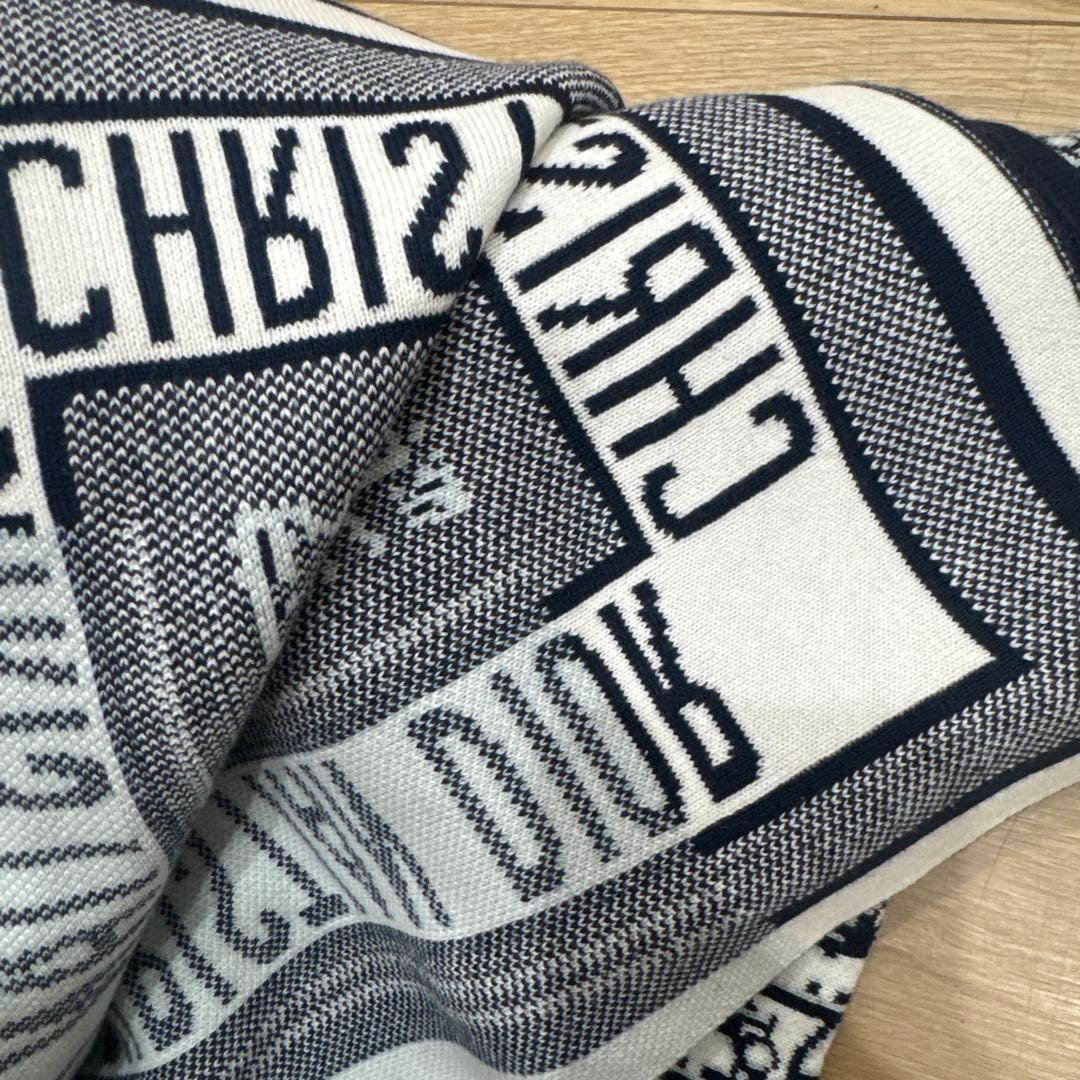 三連休限定値下げ中 CHRISTIAN DIOR ロゴプリント　膝掛け