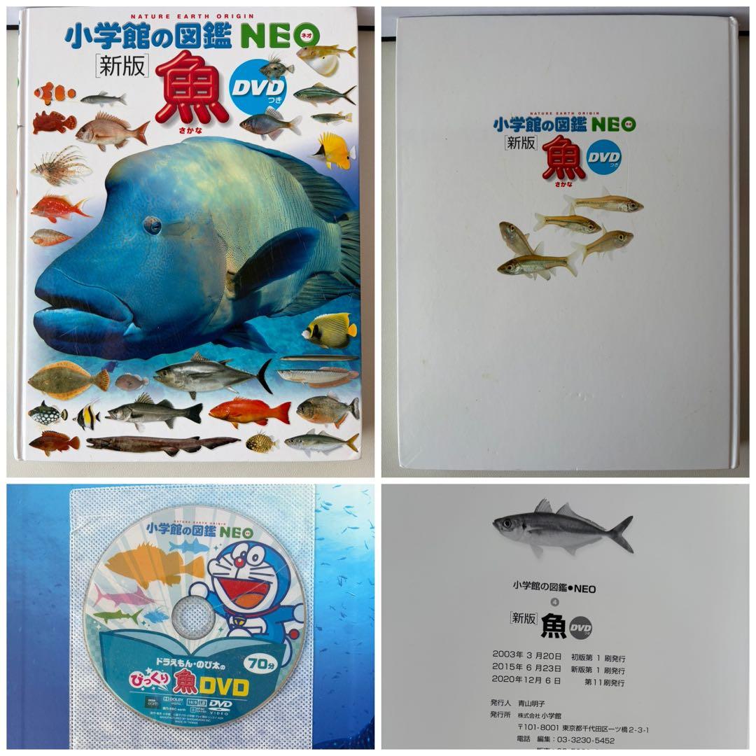 定価 15,400円 新版 小学館の図鑑NEO DVD付き 7冊セット