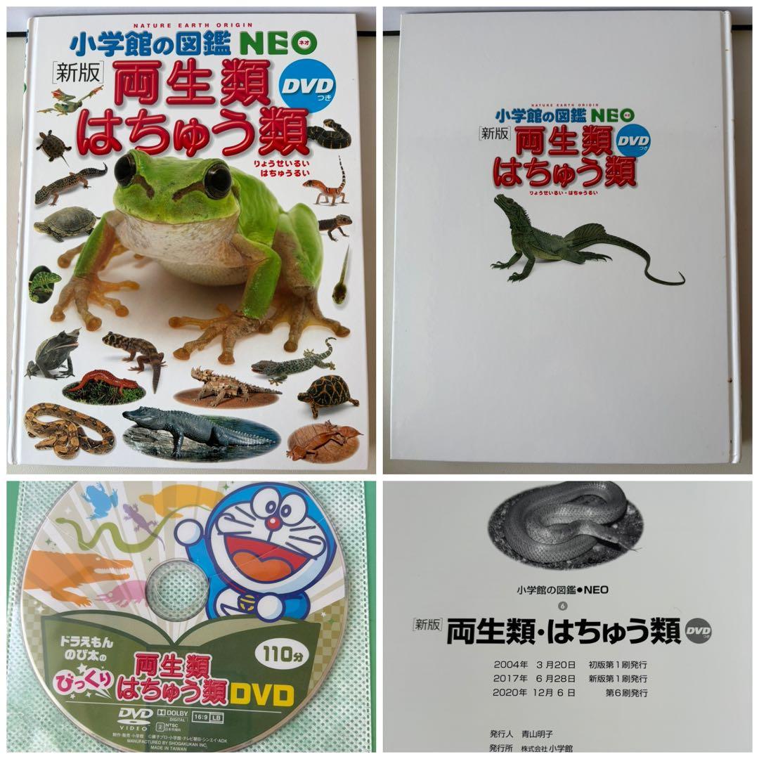 定価 15,400円 新版 小学館の図鑑NEO DVD付き 7冊セット