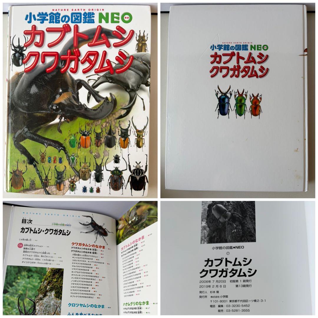 定価 15,400円 新版 小学館の図鑑NEO DVD付き 7冊セット