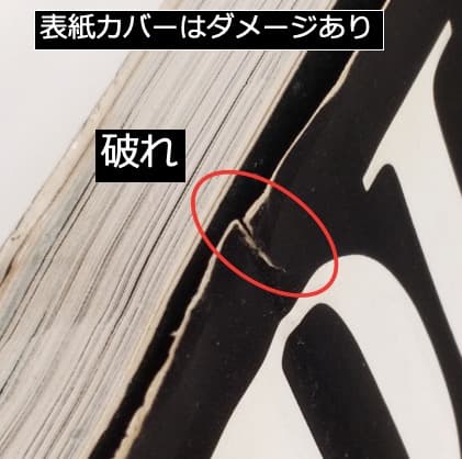 【希少洋書】SPLASH! A HISTORY OF SWIMWEAR