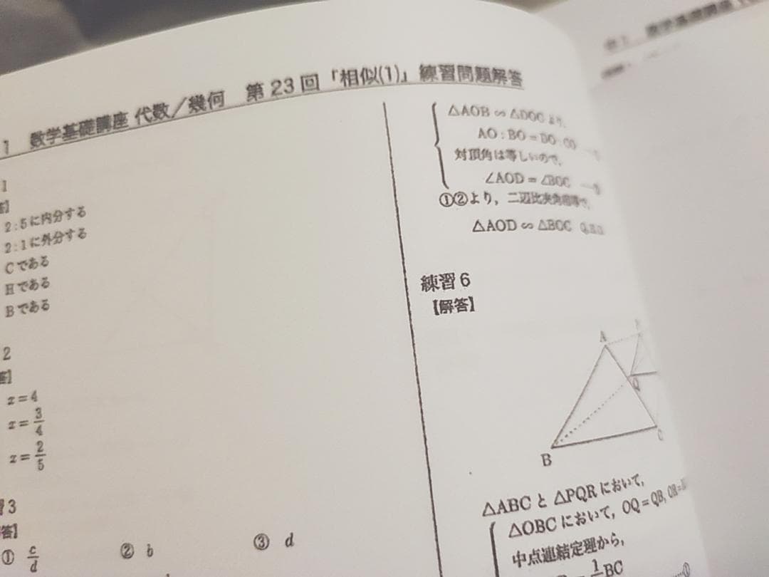 鉄緑会　中1数学基礎講座　テキスト解答　2023年度　駿台　河合塾　東進　SEG