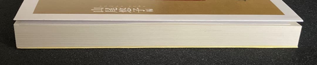 No.816『山尾悠子サイン本　仮面物語 ＆ 構造と美文』2冊セット