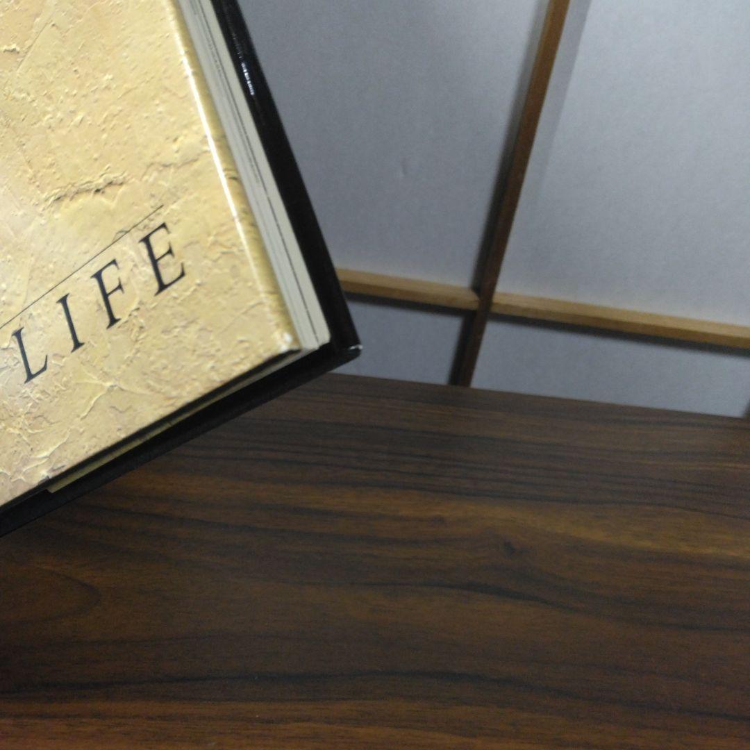 Cathelin　Expressions of Life　洋書　書込みあります。