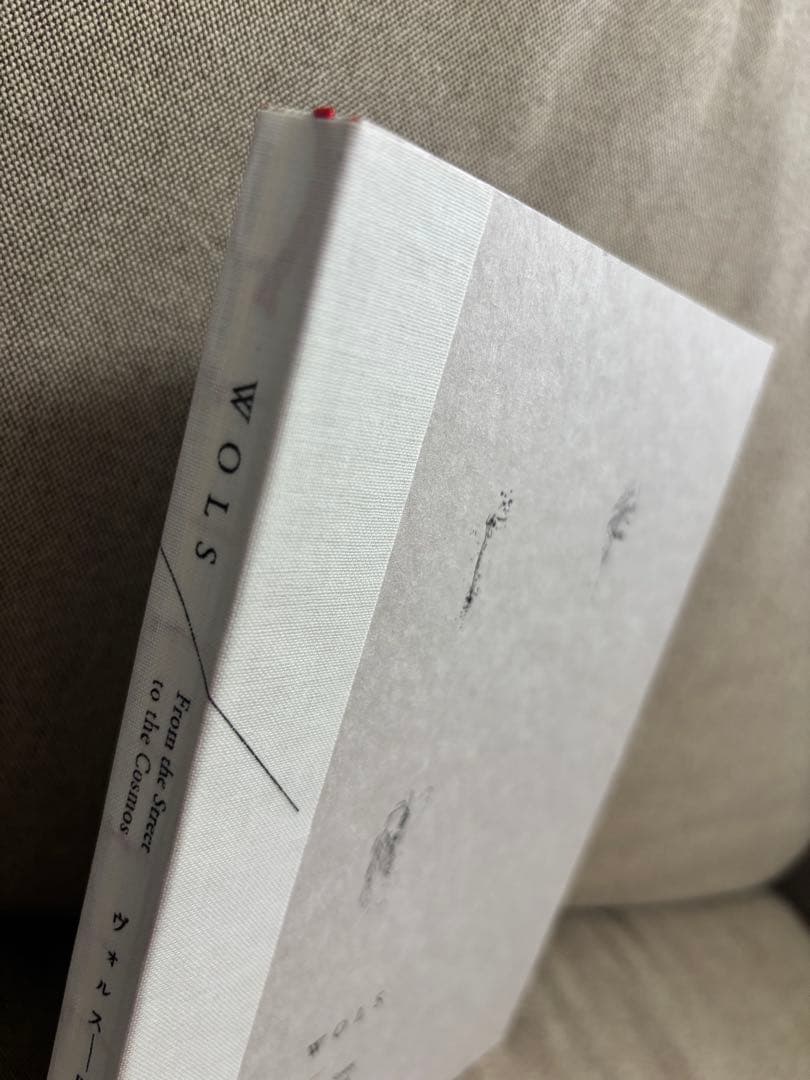 アート・デザイン・音楽 WOLS: From the Street to the Canvas