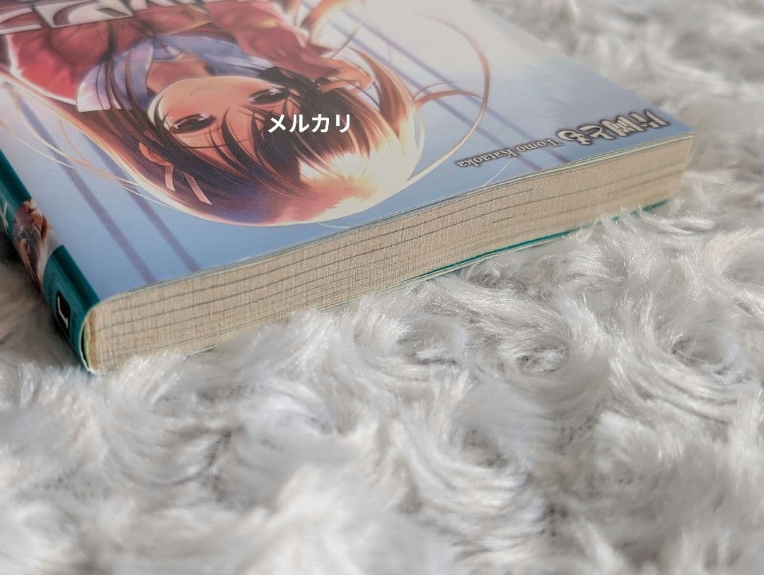 ナルキッソス narcissu 片岡とも いくたたかのん ごとP 小説 初版