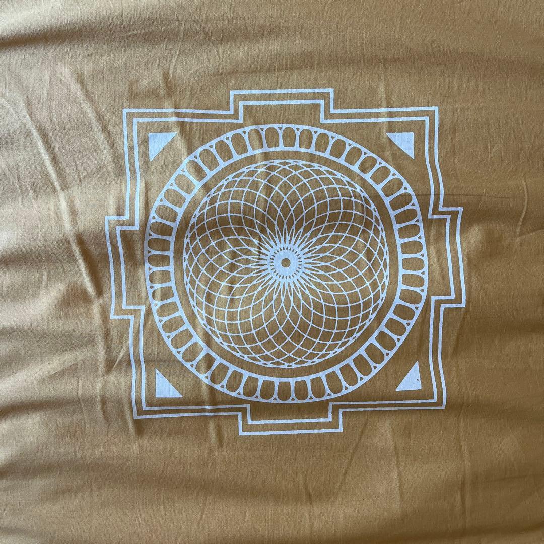 【美品・箱付き】シャクティマット Light