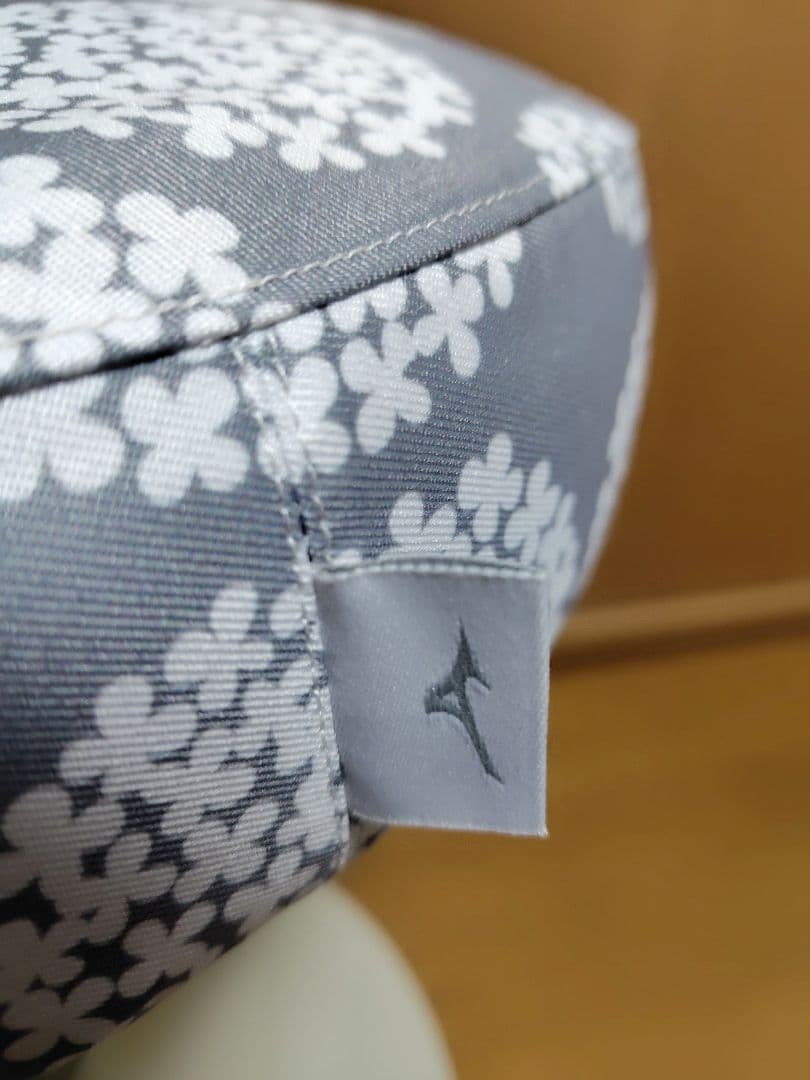 MIZUNO スクワットスリールα ＆ 座面カバー 定価16190円 ミズノ