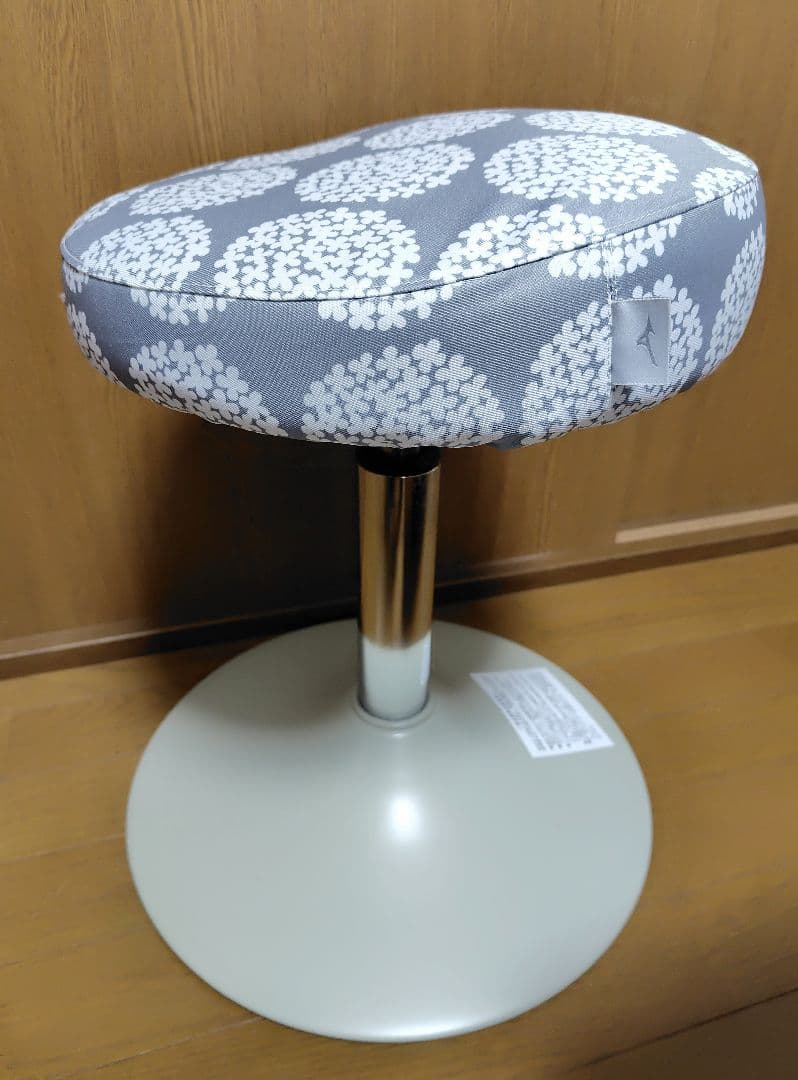 MIZUNO スクワットスリールα ＆ 座面カバー 定価16190円 ミズノ