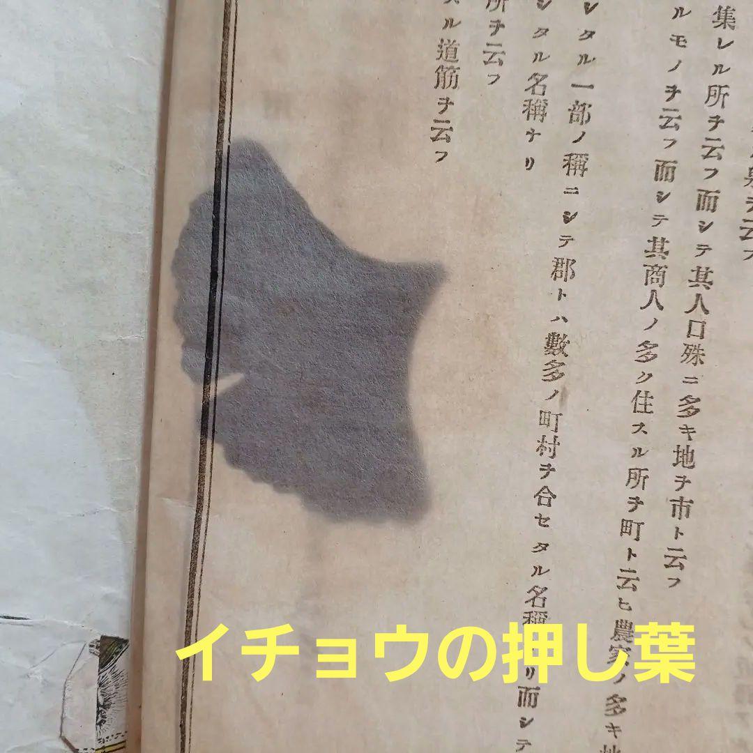 明治時代の教科書と押し葉　『甲斐地誌』　 明治26年　山梨県の地理　希少入手困難