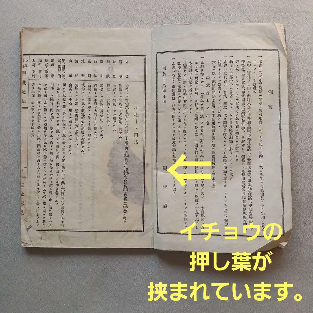 明治時代の教科書と押し葉　『甲斐地誌』　 明治26年　山梨県の地理　希少入手困難