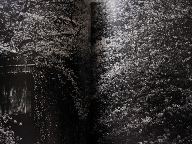 ANGO　森山大道　Daido Moriyama　直筆サイン入り